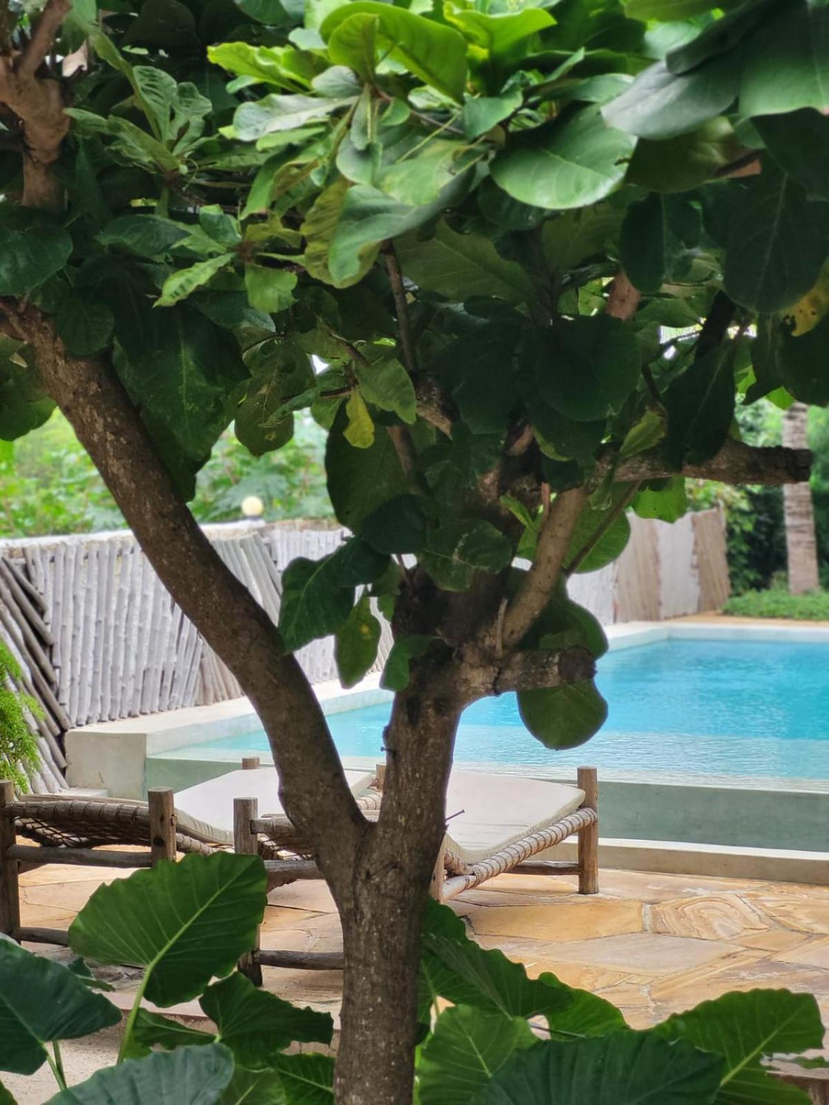 Nyumbani Residence Suites Jambiani  Εξωτερικό φωτογραφία