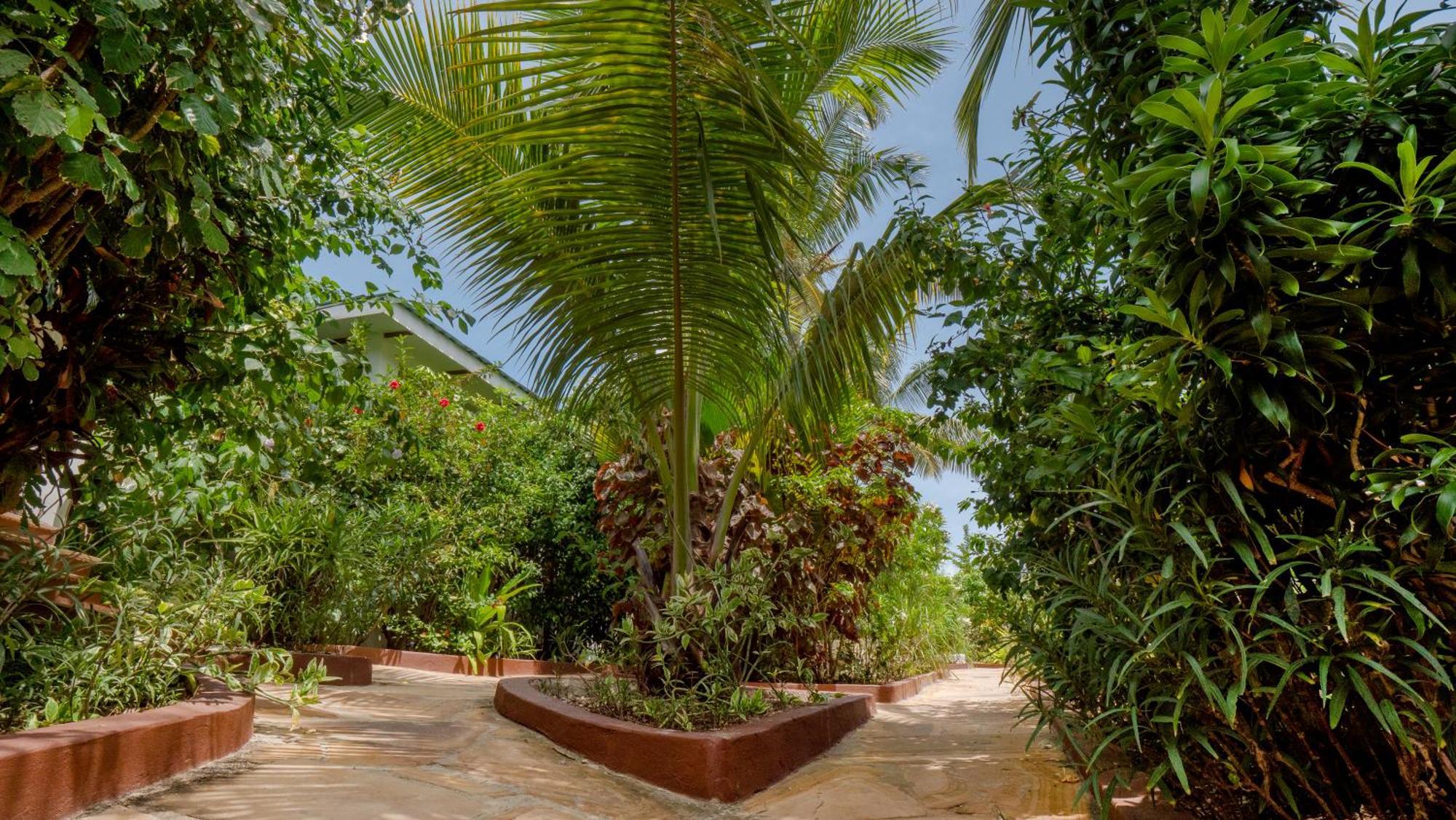 Nyumbani Residence Suites Jambiani  Εξωτερικό φωτογραφία