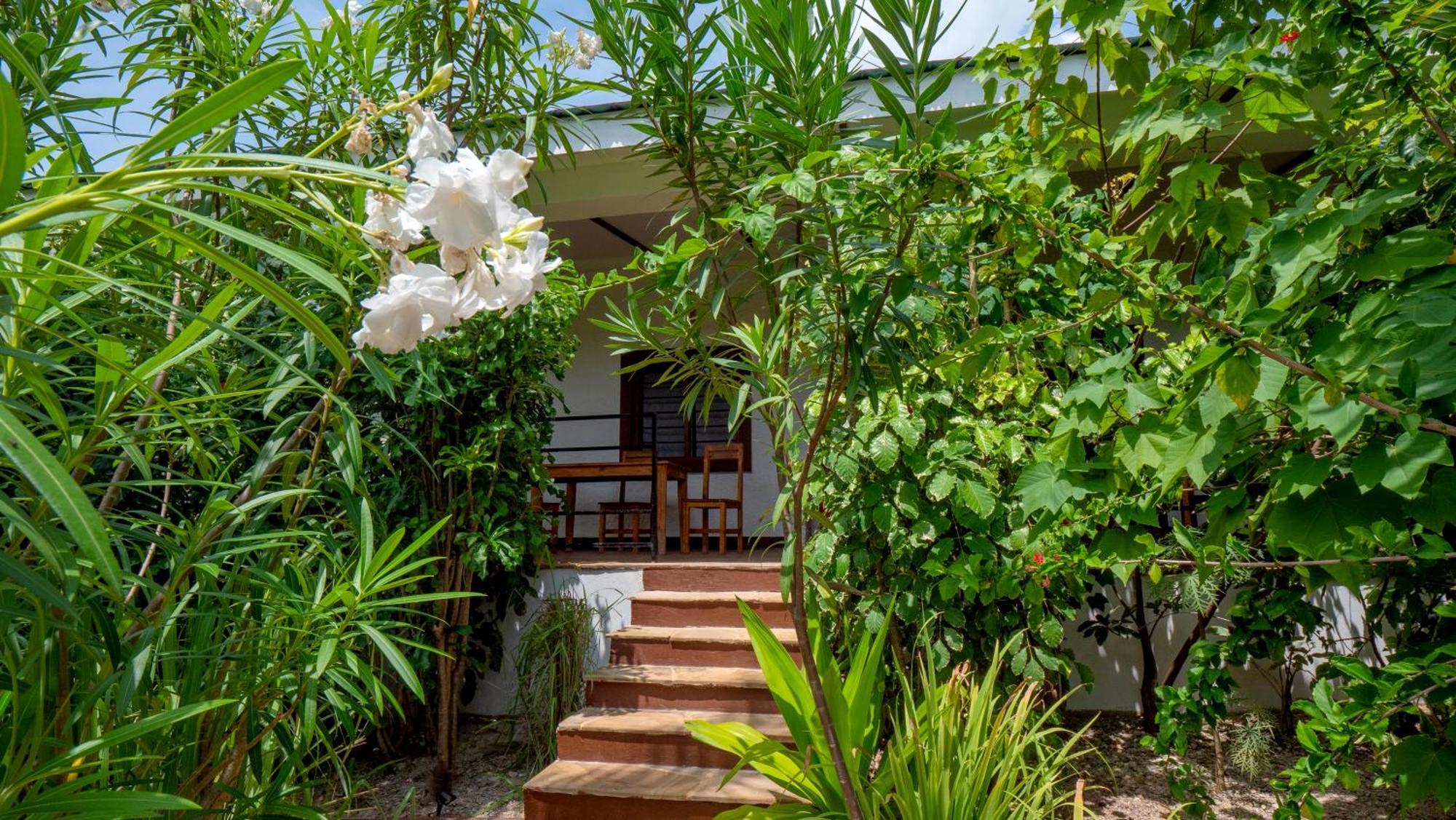 Nyumbani Residence Suites Jambiani  Εξωτερικό φωτογραφία