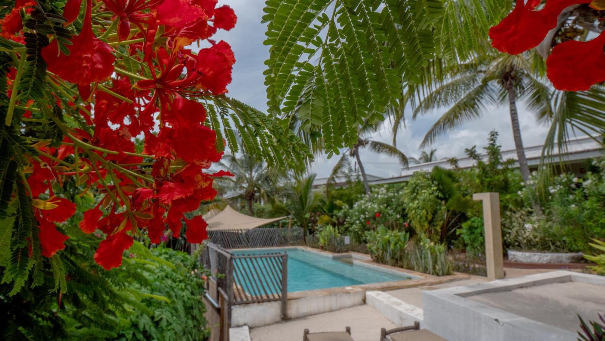 Nyumbani Residence Suites Jambiani  Εξωτερικό φωτογραφία